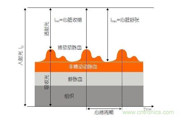 PPG測(cè)量中檢測(cè)器信號(hào)的產(chǎn)生。照射皮膚的光線(I0)被靜脈血或動(dòng)脈血吸收，或反射回檢測(cè)器。信號(hào)的變化分量對(duì)應(yīng)著與心跳同步變化的動(dòng)脈血流量。這個(gè)信號(hào)的變化周期指示了脈率。最小和最大檢測(cè)器信號(hào)的比值(光電流Imin/Imax)為判斷血氧飽和度提供了依據(jù)。