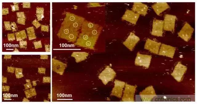 中美科學家聯(lián)手，用DNA納米機器人殺死癌細胞