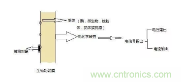 仿生傳感器的定義、原理、分類及應(yīng)用